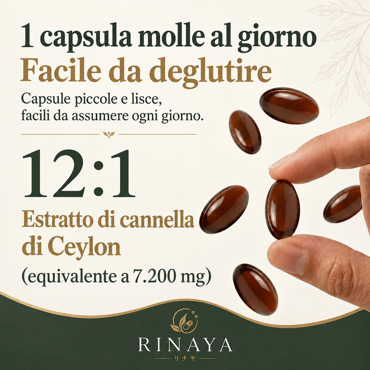 Rinaya | Cannella di Ceylon equivalente a 7.200 mg｜Estratto concentrato 12:1 con olio MCT - Ceylon Balance™